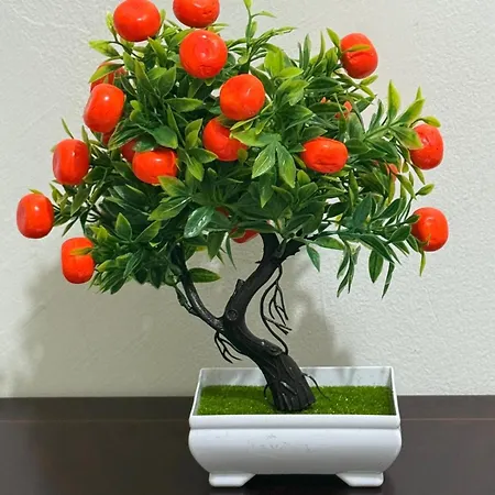 Laxuries For Rent 오디벨라스